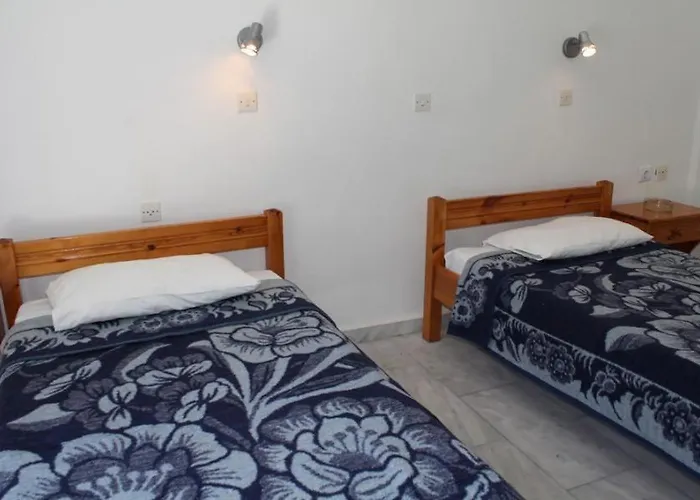 Stars Purple Pig Pensjonat