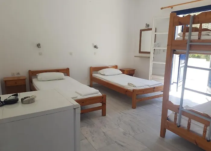 Stars Purple Pig 3* Chora